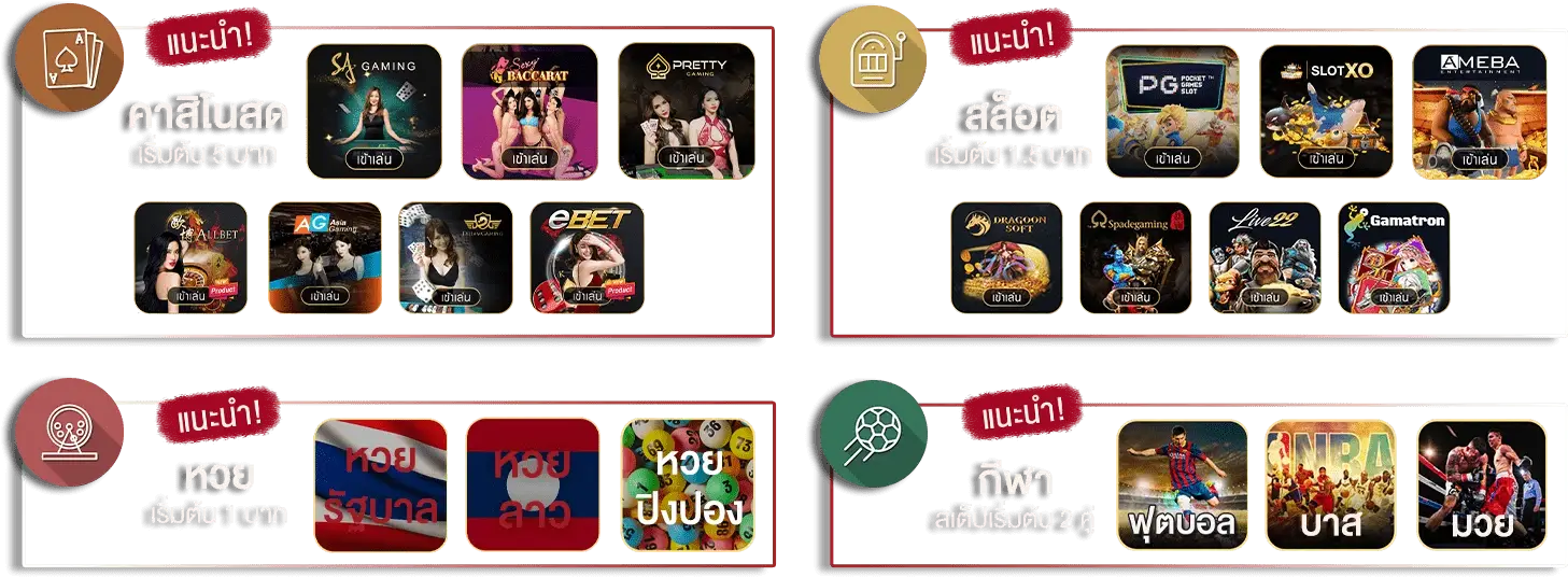 แนะนำ by RIO356